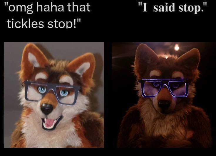 🎾Alec🎾 (@carsandfursuits) on Twitter photo 