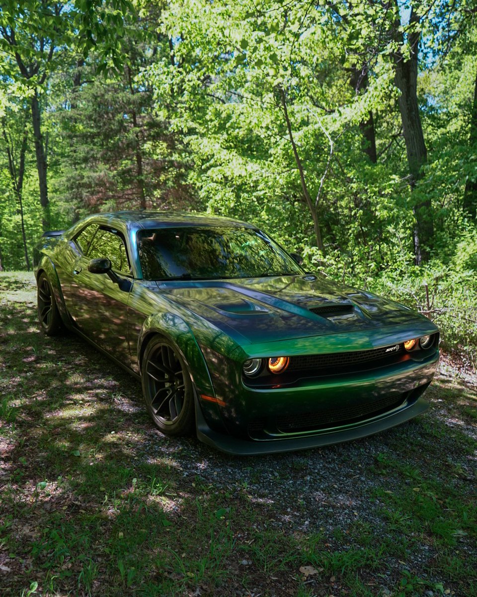 Mopar Chakmol🩵 (@moparchakmol) on Twitter photo 