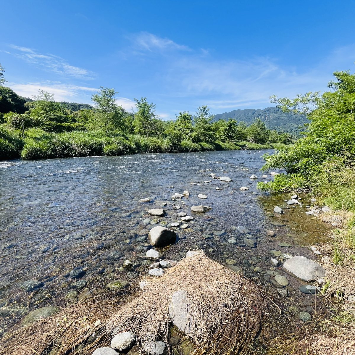fukuda_tkc's tweet image. 今日は新幕での初キャンプでスミダへ/家から近いので楽ちん/今日明日の晴れ天気は貴重なのだ^_^
#黄カブ #ct125 #ハンターカブ #ソロキャンプ #とくらや　#単独野営 #焚き火 #愛川町