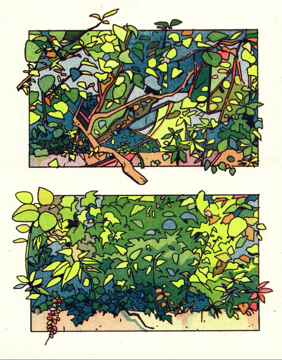 ceeejus's tweet image. weeds