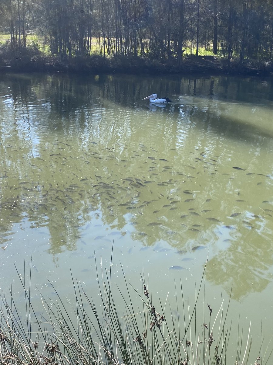 The Unfamiliar Route tweet media