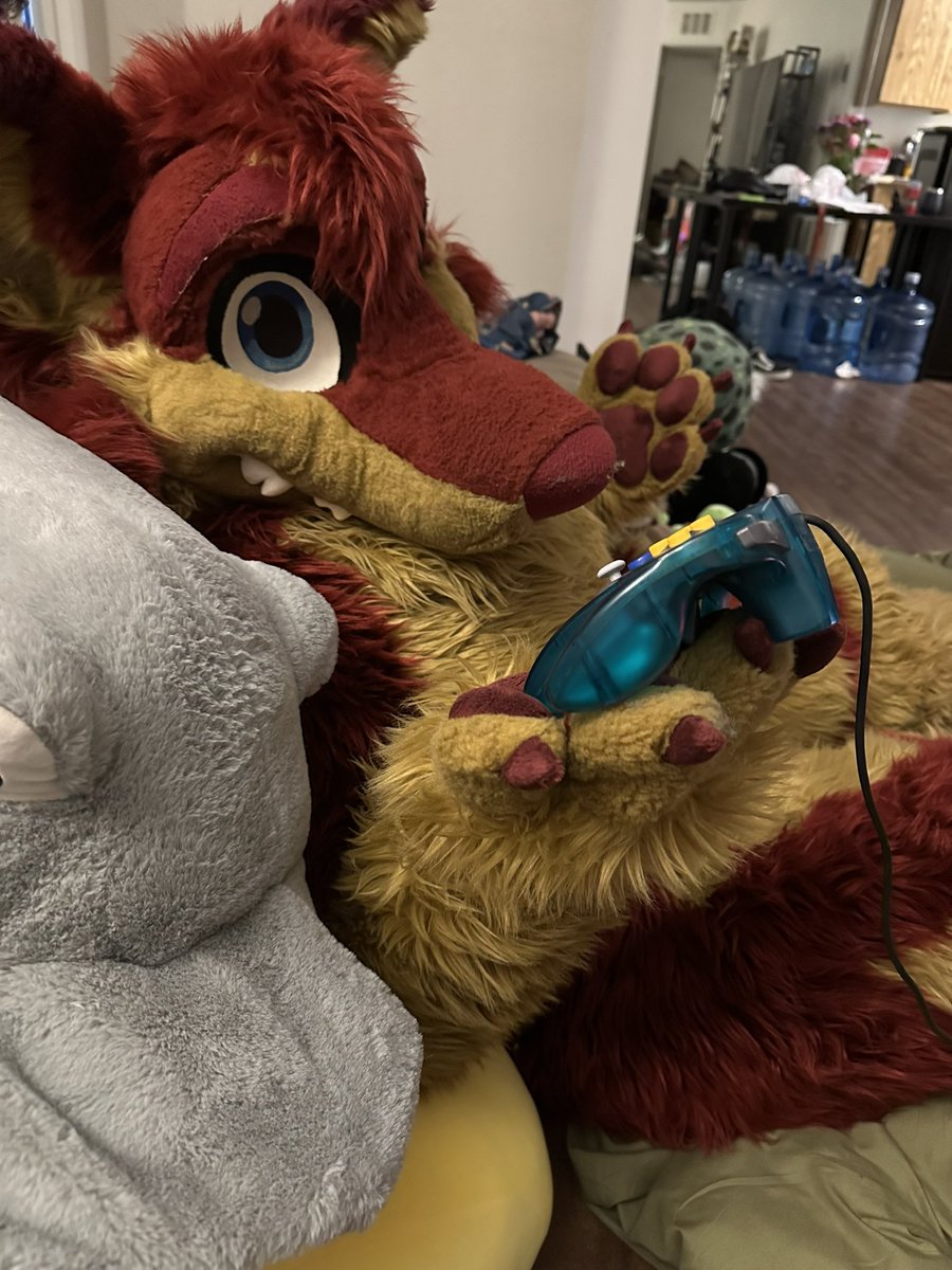 The coyote invites you to play Mario Cart on the N64. Do you accept? 

Happy #fursuitfriday, y’all!

#fursuiter #morefurless #furry