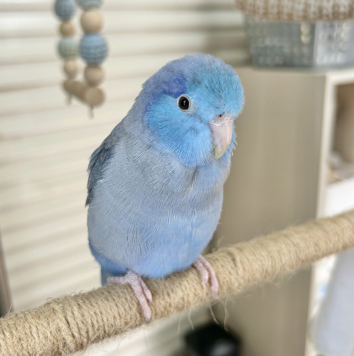 ちょっとまだ眠たかった今朝のぼく