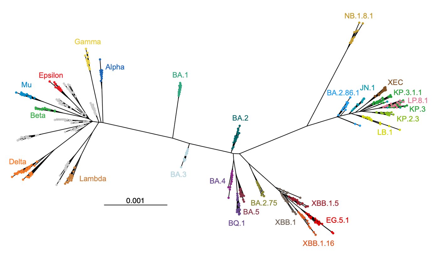 The Sato Lab (Kei Sato) on X: 