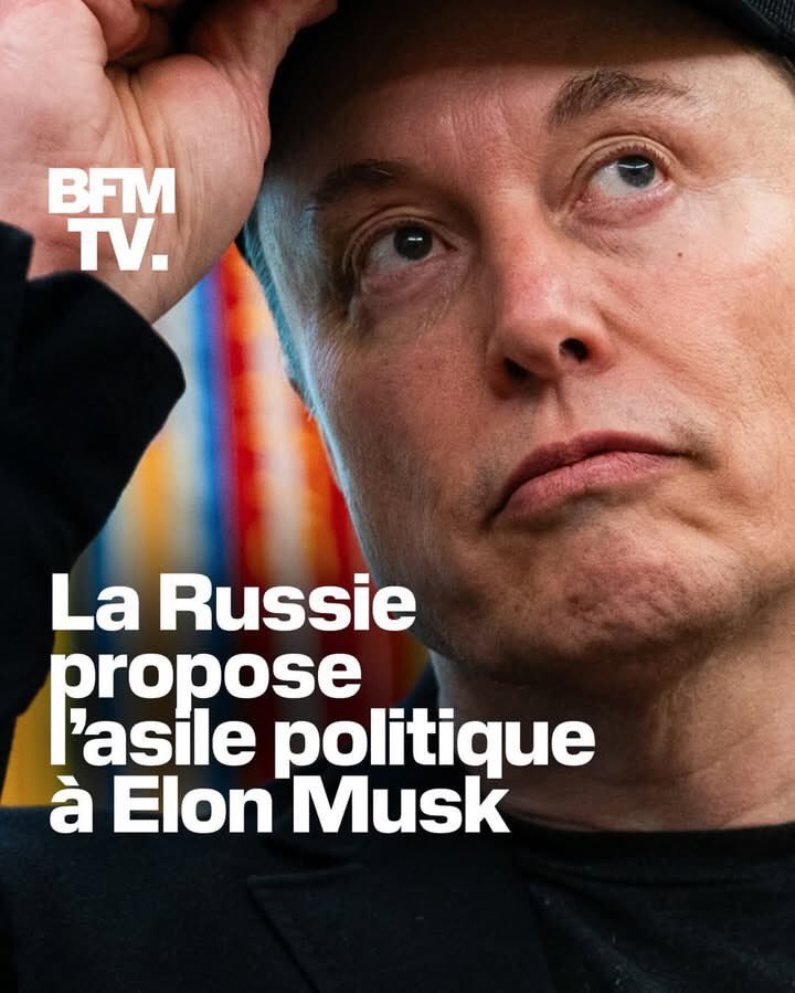 BestMario33's tweet image. M paka tann pou Trump depòte Elon Musk 

Letènèl aji chéri