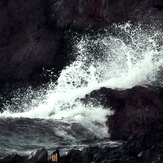 𝐇𝐀𝐑𝐋𝐀𝐍 𝐆𝐑𝐄𝐘𝐉𝐎𝐘 tweet media