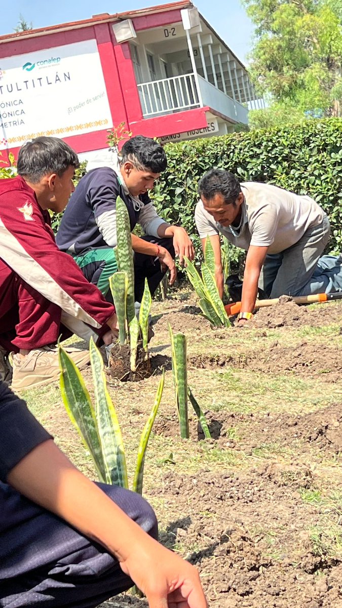 Conalep_Tulti's tweet photo. En el  marco  del Día Internacional del Medio Ambiente que se celebra el 5 de junio de cada año, con la reforestación concluimos las actividades de la 13ª. Semana CONALEP de Protección al Medio Ambiente.
#ApasionadamenteCONALEP 
#ElPoderDeServir 
#OrgullosamenteCONALEP https://t.co/bGWhMnoWBw