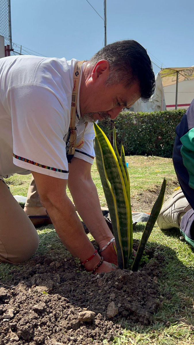 Conalep_Tulti's tweet photo. En el  marco  del Día Internacional del Medio Ambiente que se celebra el 5 de junio de cada año, con la reforestación concluimos las actividades de la 13ª. Semana CONALEP de Protección al Medio Ambiente.
#ApasionadamenteCONALEP 
#ElPoderDeServir 
#OrgullosamenteCONALEP https://t.co/bGWhMnoWBw