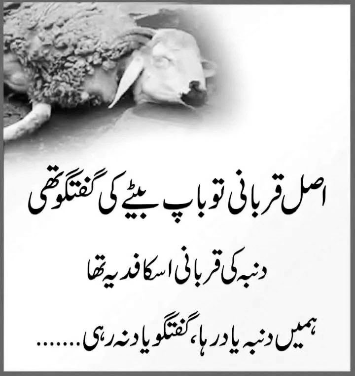 adv_ehtasham's tweet photo. https://t.co/7n6halpcoE