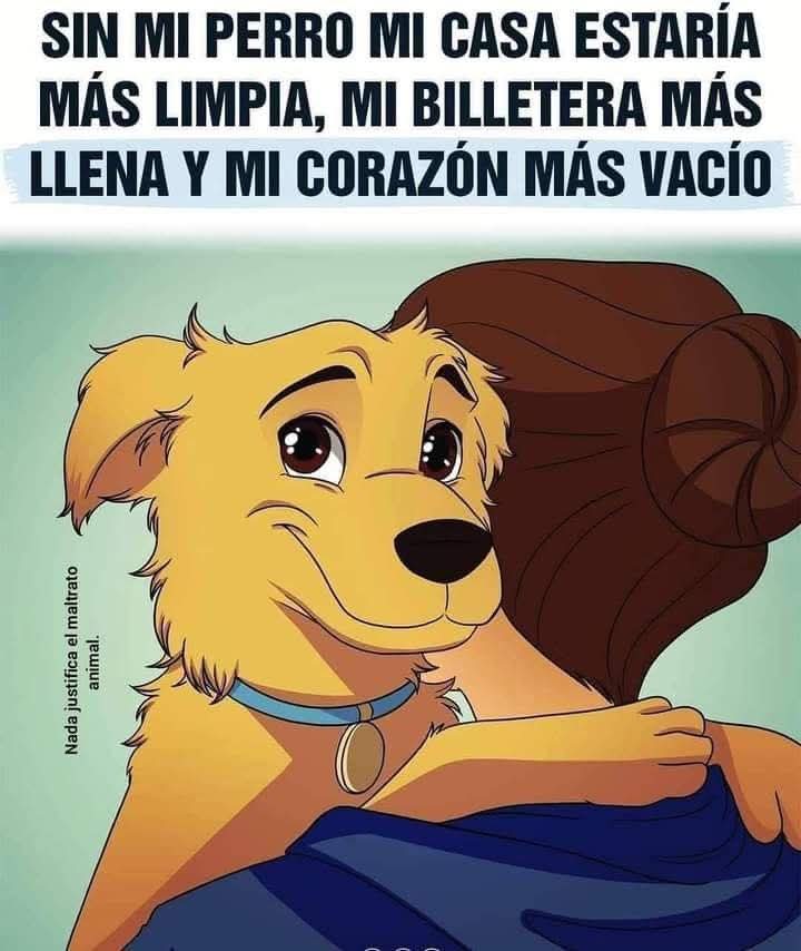 Buenas noches 🐾🐶❤️