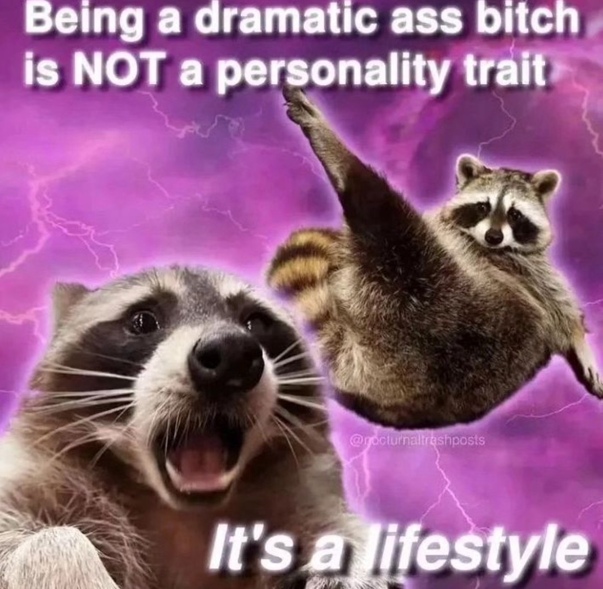 raccoon aesthetic. (@raccoonesthetic) on Twitter photo 