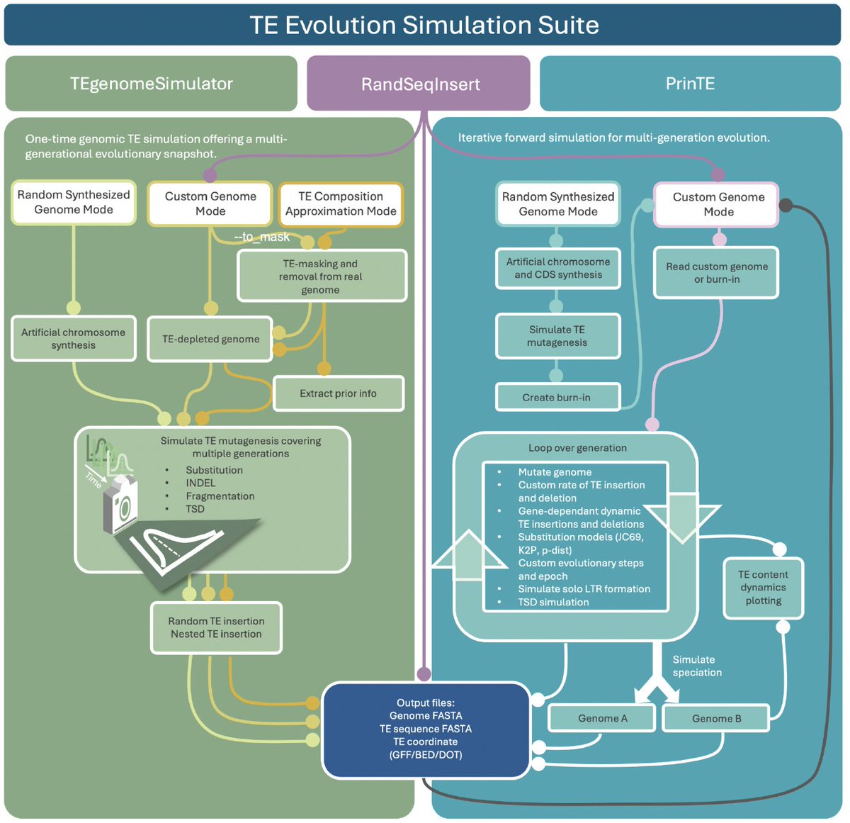 I want to share our latest work on a forward simulation framework on transposable element evolution. The TE Evolution Simulation Suite, or TESS, contains three components that can simulate many scenarios of genome evolution under the impact of TEs.