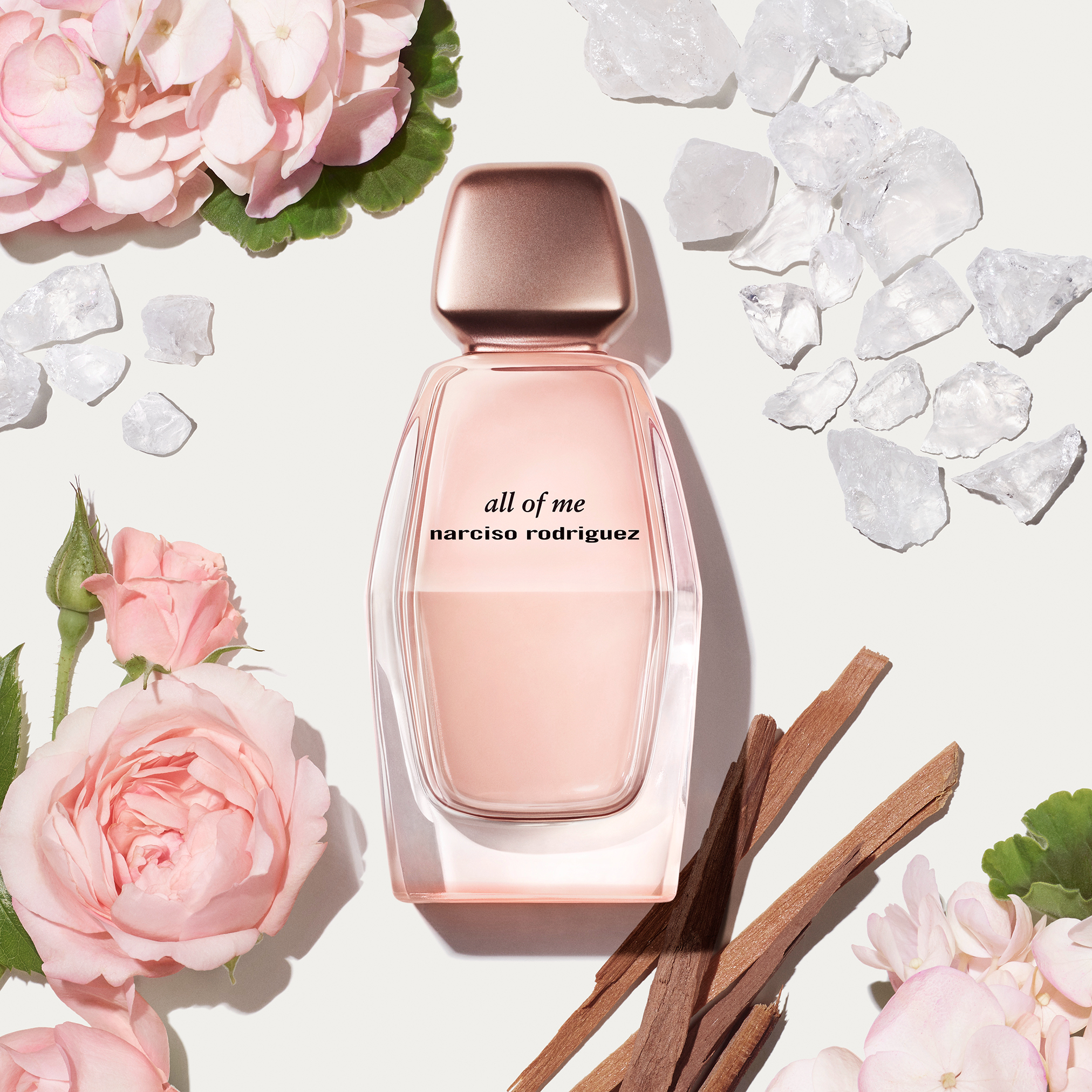 Narciso Rodriguez Parfums Japan (@narcisojapan) / X