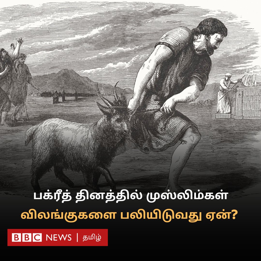bbctamil's tweet photo. பக்ரீத் தினத்தன்று முஸ்லிம்கள் விலங்குகளை பலியிடுவது ஏன்? விலங்கு பலியிடல் பற்றி இந்து, யூத, கிறித்தவ மதங்கள் என்ன சொல்கின்றன? #replugged

https://t.co/TFiQ5sCVKj https://t.co/2H99Bi2Ej8