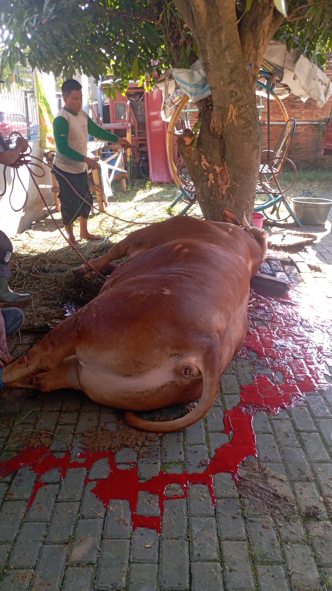 adnahyn's tweet photo. padahal kita masi ngobrol kemarin ya moo 😞 https://t.co/vBMjlJYJfn