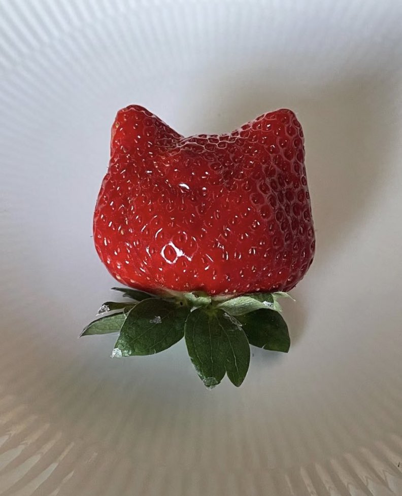 Cat shaped strawberry