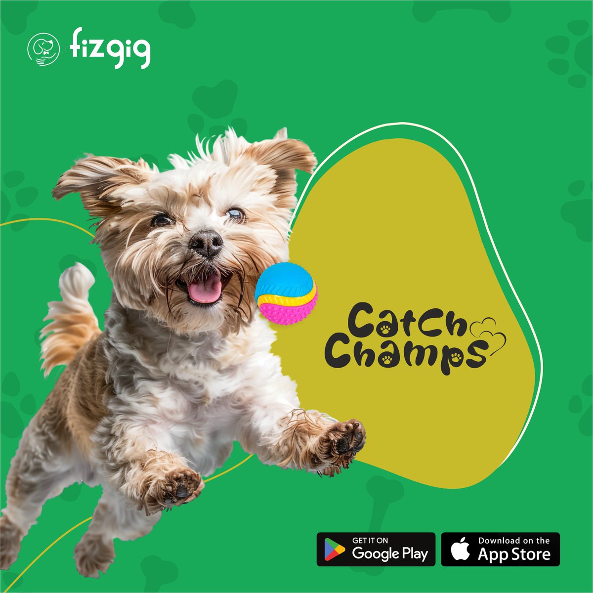 fizgigapp's tweet photo. Your pet’s vertical leap > your last workout.
Catch champs live among us… and they demand belly rubs post-victory.
 #CatchChamps #FizgigFetchElite #FizgigApp https://t.co/GloO72SXEP