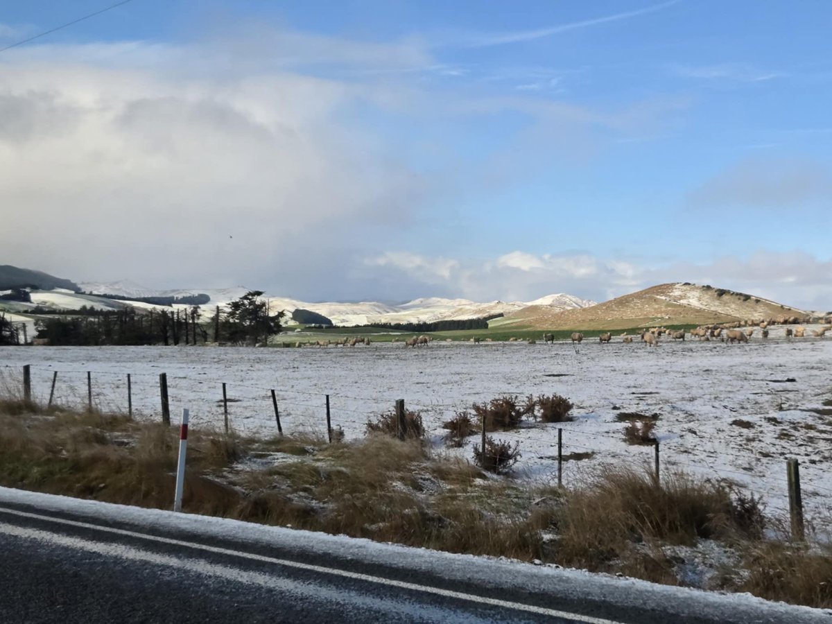 Justin Nelson (@gmjustinnelson) on Twitter photo My last <a href="/nznbl/">Sal’s NBL</a> visit to the Deep South has delivered more of the ever-changing scenery I have enjoyed so much living here in NZ. A big thanks to all the staff and fans at <a href="/SouthlandSharks/">Southland Sharks</a> and <a href="/otagonuggetsnbl/">Otago Nuggets</a> for always making me feel welcome 🙏 My last <a href="/nznbl/">Sal’s NBL</a> visit to the Deep South has delivered more of the ever-changing scenery I have enjoyed so much living here in NZ. A big thanks to all the staff and fans at <a href="/SouthlandSharks/">Southland Sharks</a> and <a href="/otagonuggetsnbl/">Otago Nuggets</a> for always making me feel welcome 🙏