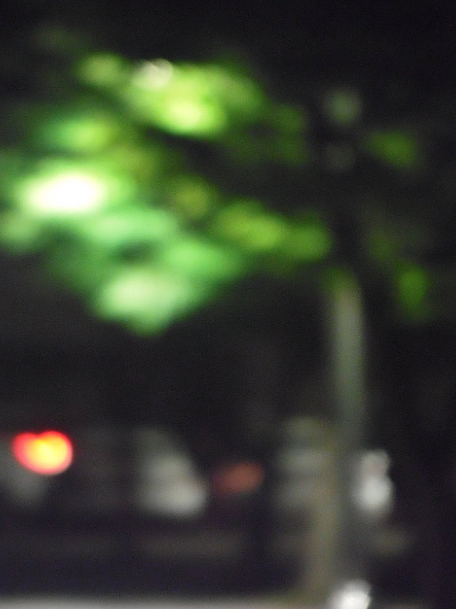 초점 나간 사진들을 모아두는 이유