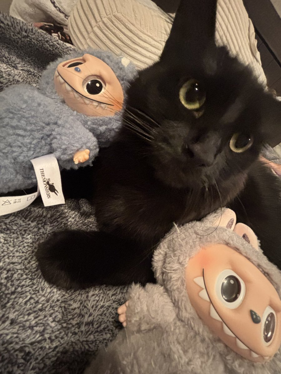 we’re back on the ranch