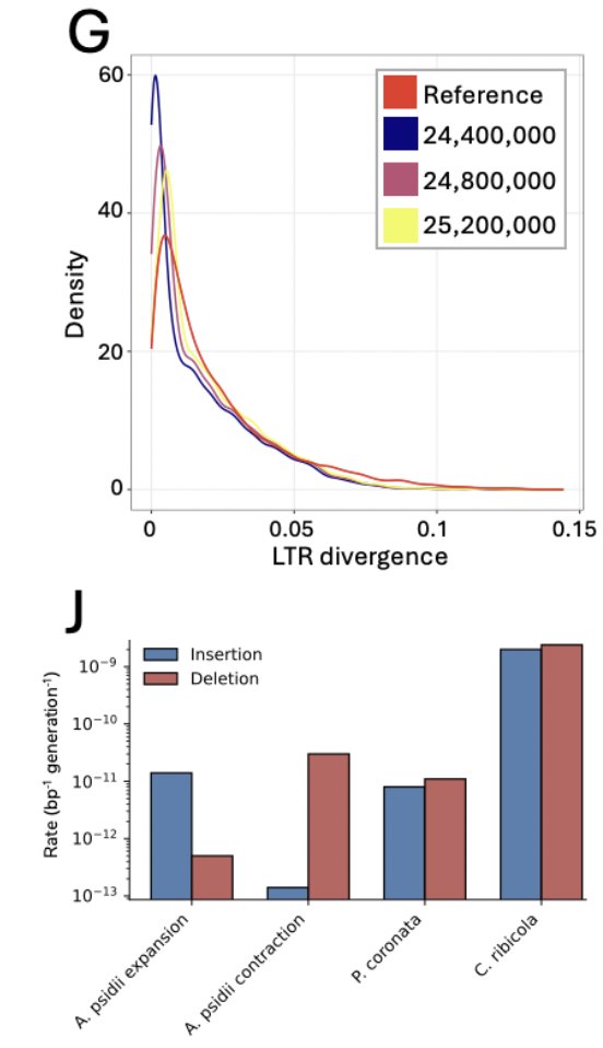 Shujun Ou tweet media