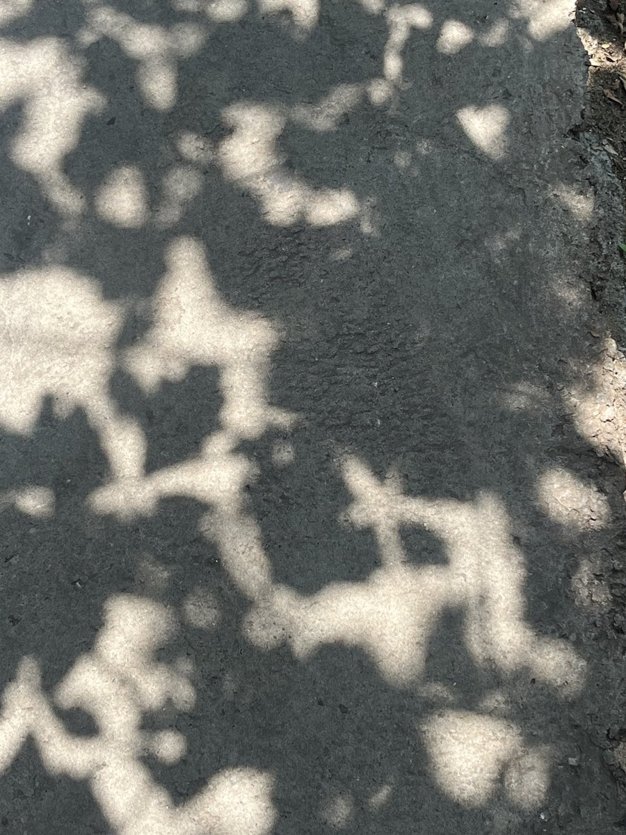 🪞 dni 🪞 (@dniworld) on Twitter photo 