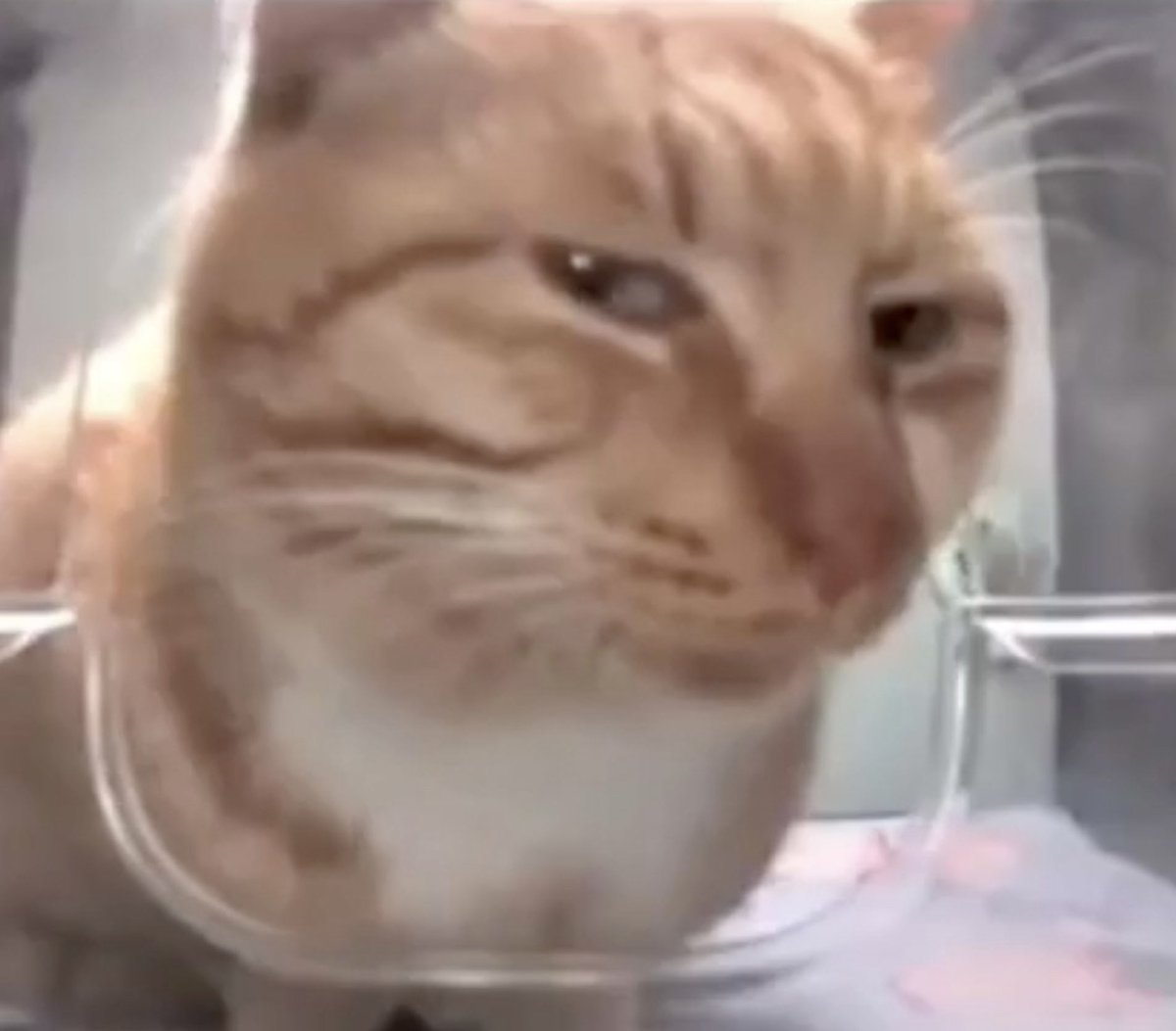 “I grew up playing Halo and I’m are tired of playing the same COD every year and I want Titanfall 3.”
&gt;Announces Splitgate BR right after he said that
I think bro doesn’t know why we never got a Titanfall 3