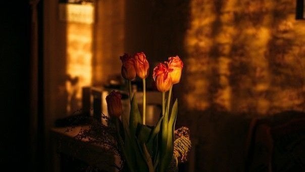 Manggala. tweet media