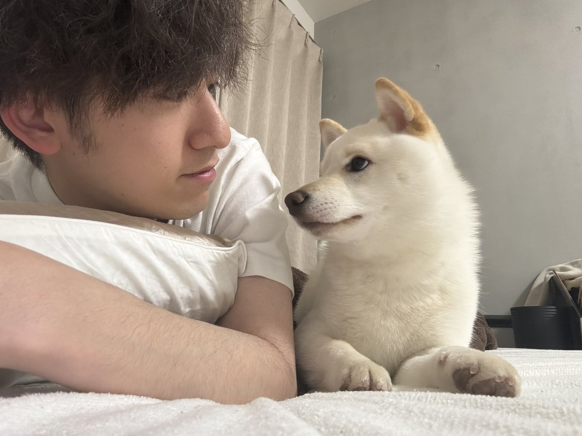 もんちゃん1歳おめでとう‼️‼️‼️‼️ 生まれてきてくれてありがとう
