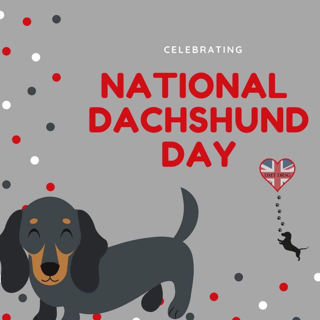🐾🐶 Happy #NationalDachshundDay! 🐶🐾
Celebrating our brave, big-hearted, little dogs today! 💕
Proud to rescue, rehab &amp; rehome these spirited pups every day.
Thanks to our amazing adopters, fosters &amp; supporters! 🐾❤️
#NoDachshundLeftBehind #RescueDog #Rescue