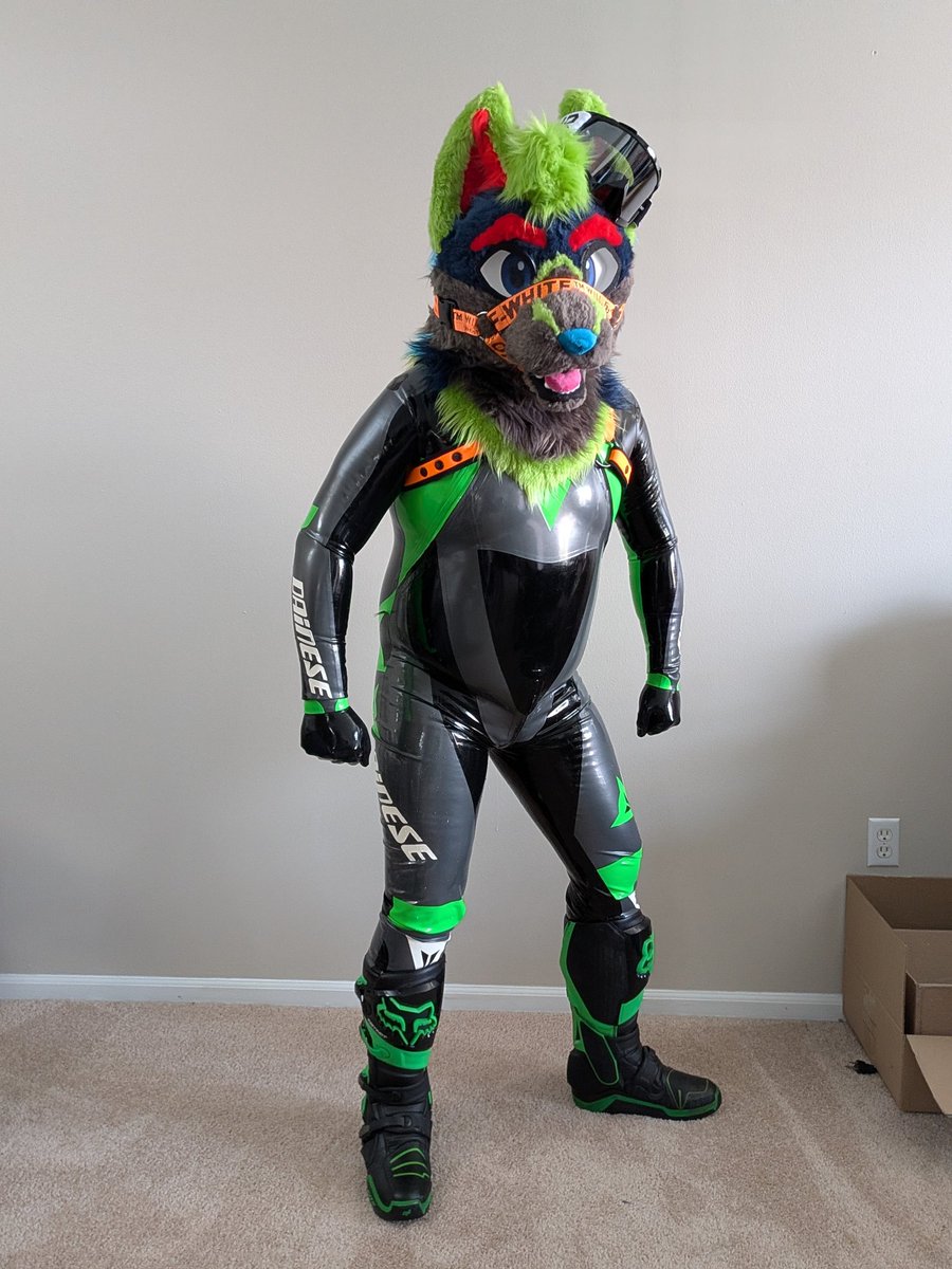 He's ready for zoomies!! Stay cool out there this coming week! 🌊