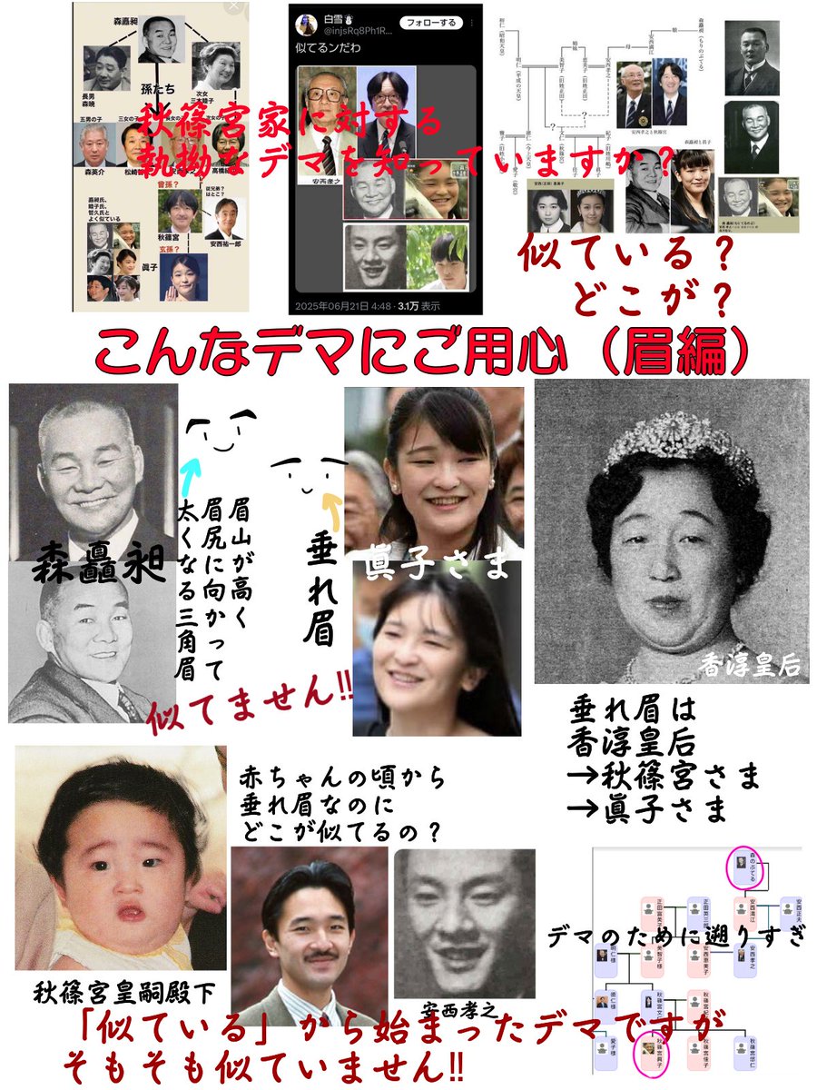 描いて応援！また似ていると言われたので眉編も作ってみた。顔のパーツこんなに違うのにどこ見てるんだろ。毒吐きそうなのでお口チャック(´×`)