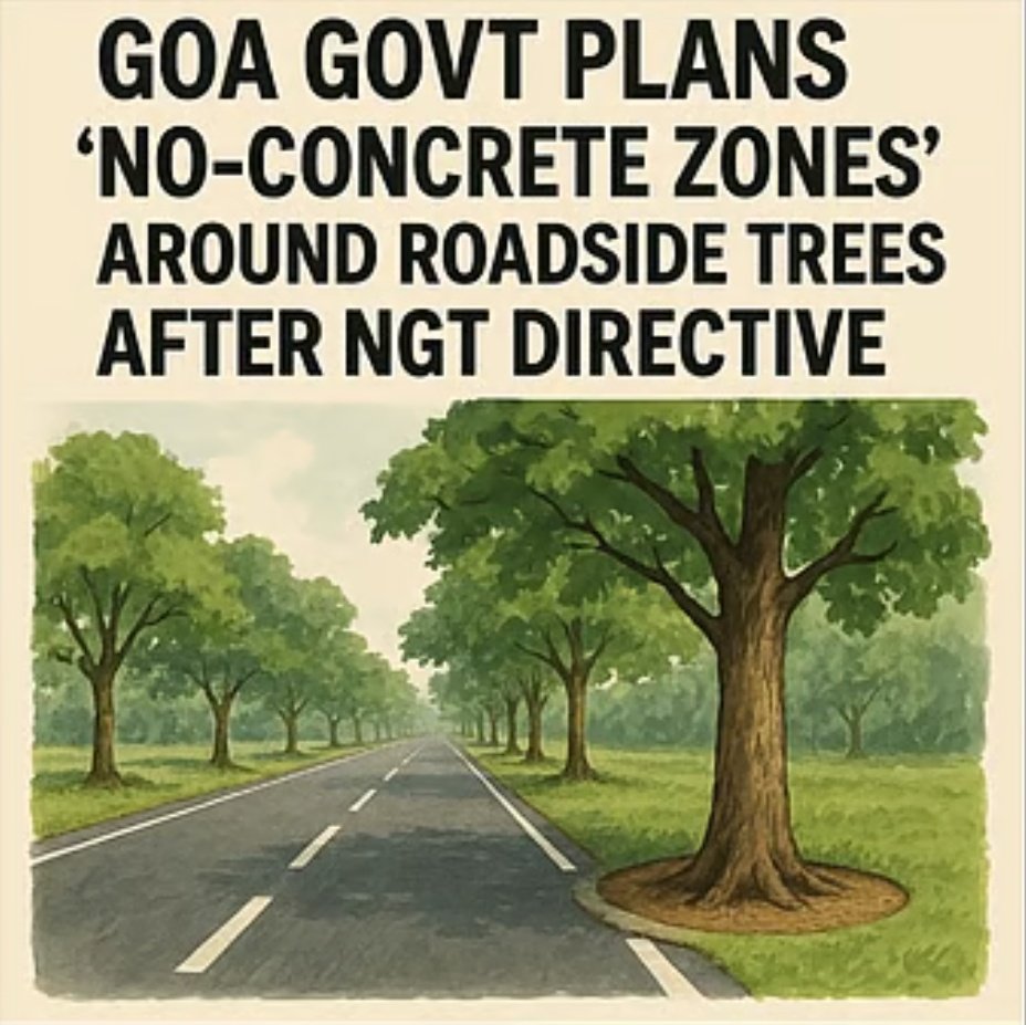 Surajya Abhiyan (@surajyacampaign) on Twitter photo 🎯 #Goa Govt Plans ‘No-Concrete Zones’ Around Roadside Trees After <a href="/NGTribunal/">Green Tribunal</a> Directive 🏝️
🌟 <a href="/SurajyaCampaign/">Surajya Abhiyan</a> appriates @goacmfor this move to combat tree stress in urban areas and prevent further ecological degradation caused by poor urban planning.
📍 The initiative follows 🎯 #Goa Govt Plans ‘No-Concrete Zones’ Around Roadside Trees After <a href="/NGTribunal/">Green Tribunal</a> Directive 🏝️
🌟 <a href="/SurajyaCampaign/">Surajya Abhiyan</a> appriates @goacmfor this move to combat tree stress in urban areas and prevent further ecological degradation caused by poor urban planning.
📍 The initiative follows