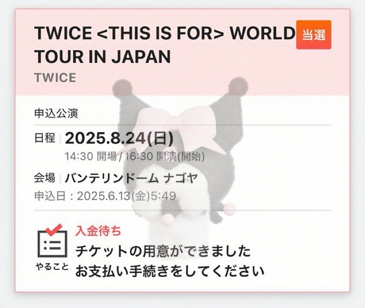 今年の夏はTWICEで埋め尽くしー❣️✨🪽
