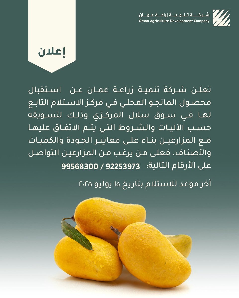 oman_agri's tweet photo. يسرّنا الإعلان عن بدء استقبال محصول المانجو المحلي في مركز الاستلام التابع للشركة بسوق سلال المركزي، وذلك وفقًا للتفاصيل الموضحة في المنشور. https://t.co/dy5BTeTLmq