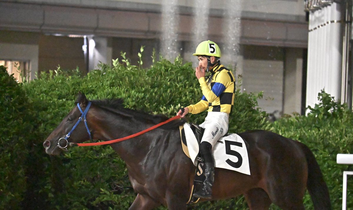 8Rバイコーン×飛田愛斗
2025.06.21
