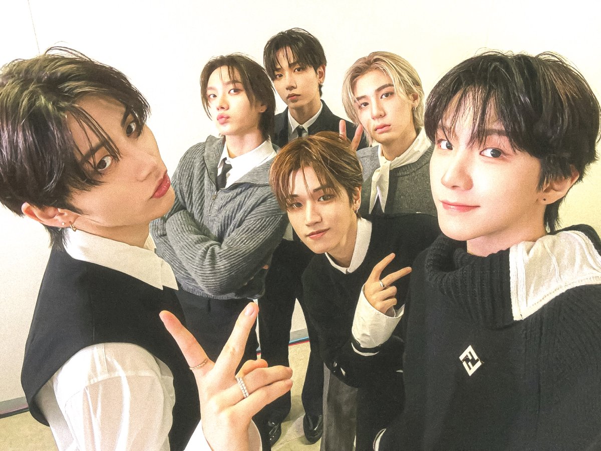 🐈‍⬛🐈🐶🐰🦦🐻