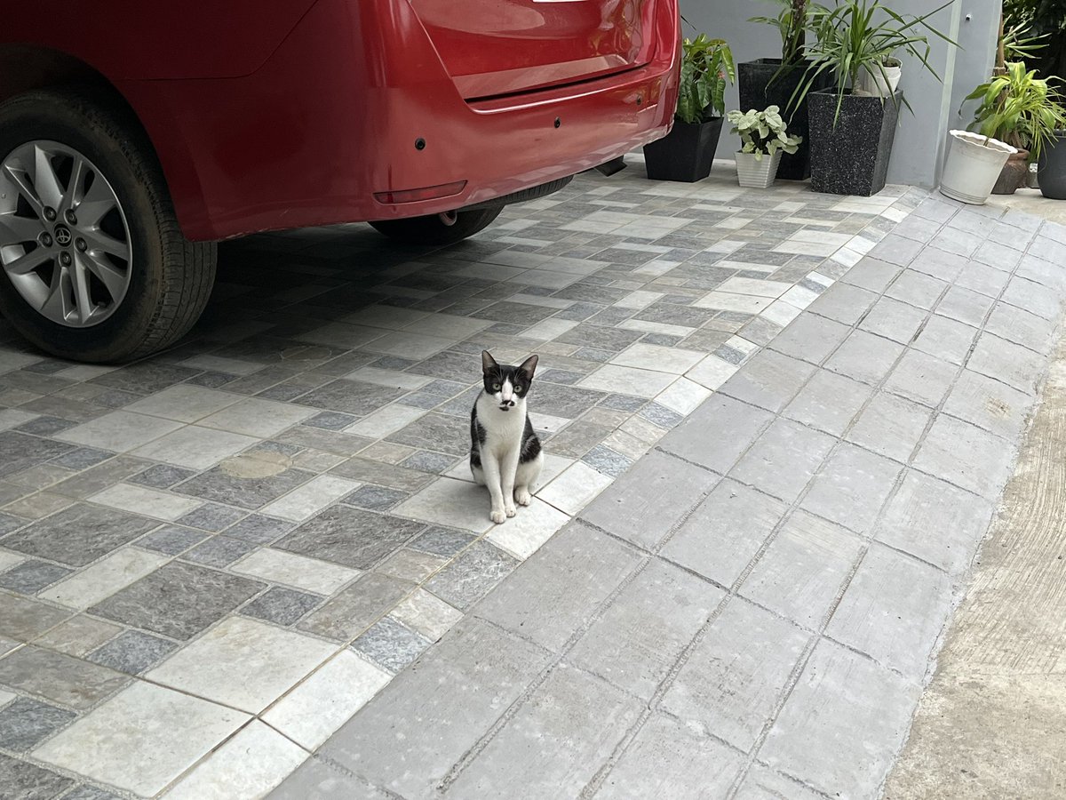 digitalfields's tweet image. lowkey don't want this trip to end !