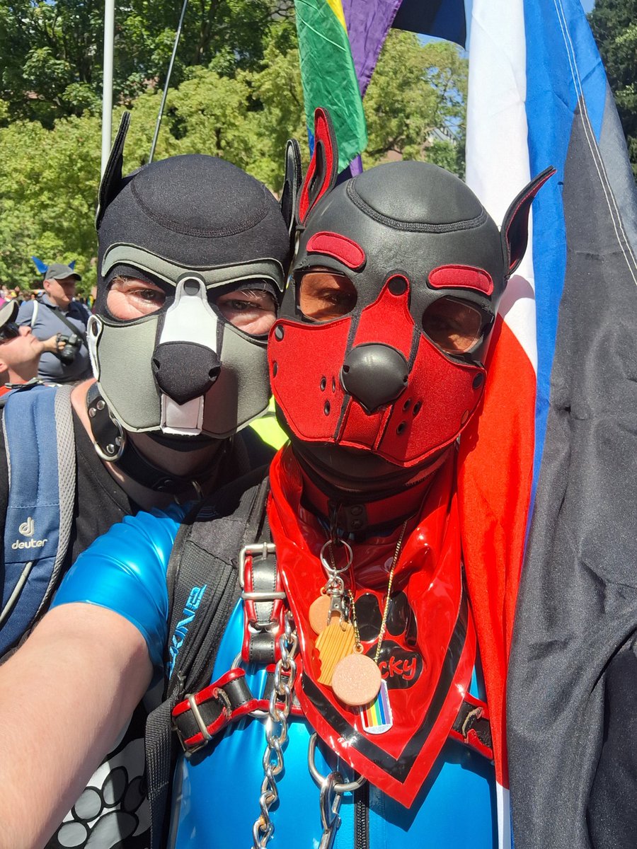 Rubber-Fist-Gay tweet media
