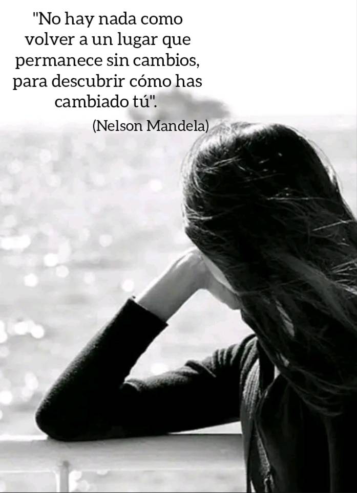 literlandweb1's tweet image. 