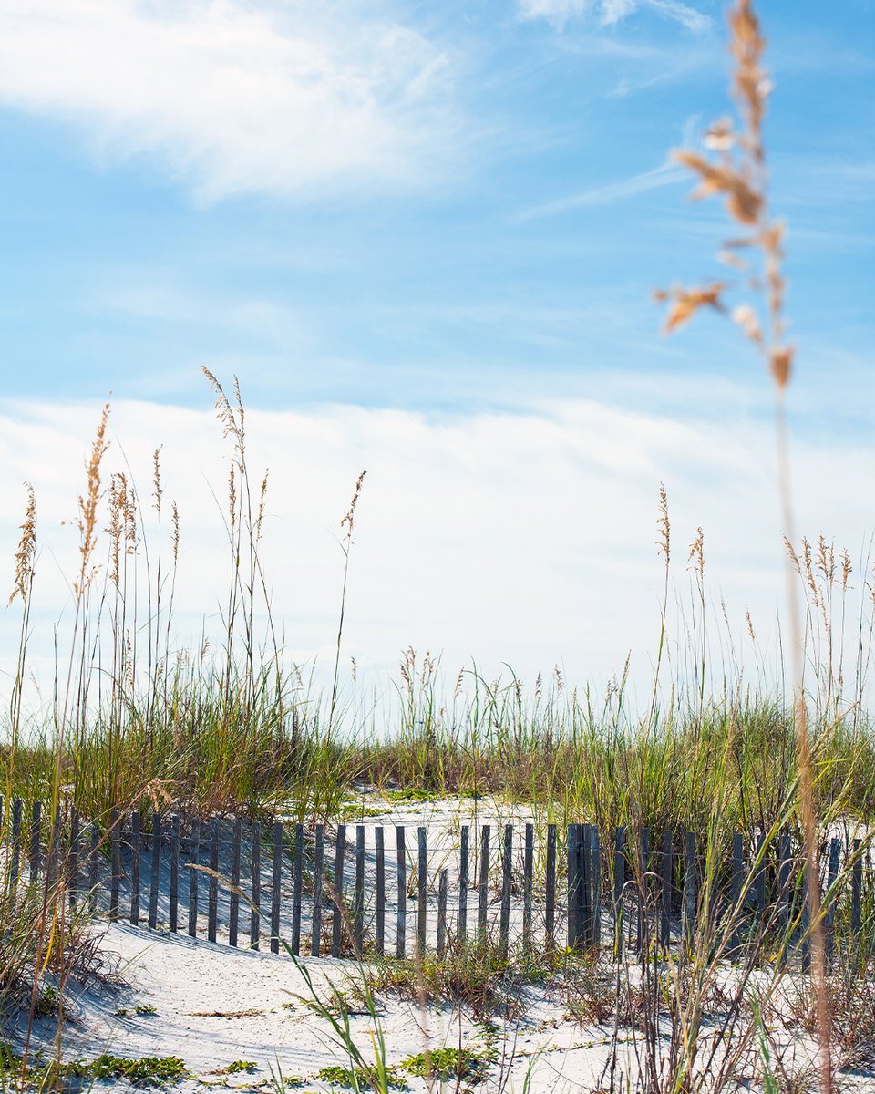 Fresh breeze and more sunshine, please! Happy first day of summer, Mississippi 🌞 (photo by Rory Doyle)
