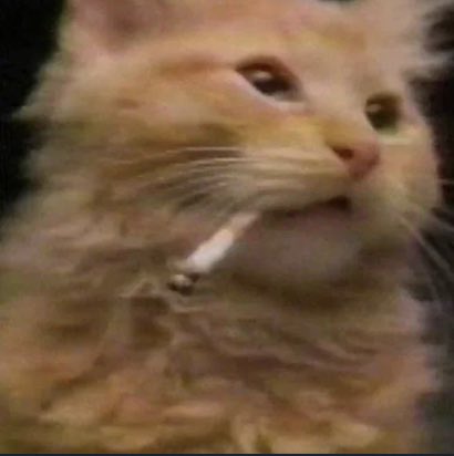 Most people I know are sidelined