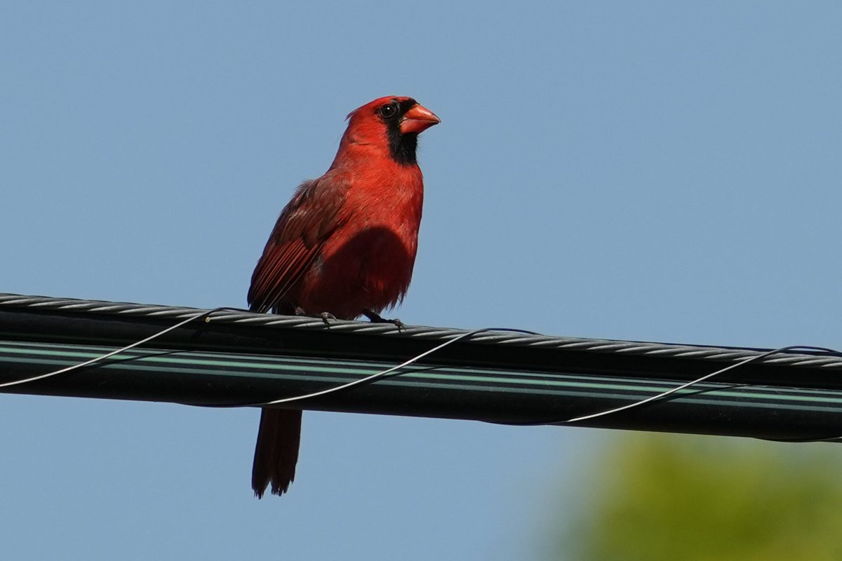 Travis Ouderkirk (@the_nice_mr_t) on Twitter photo 