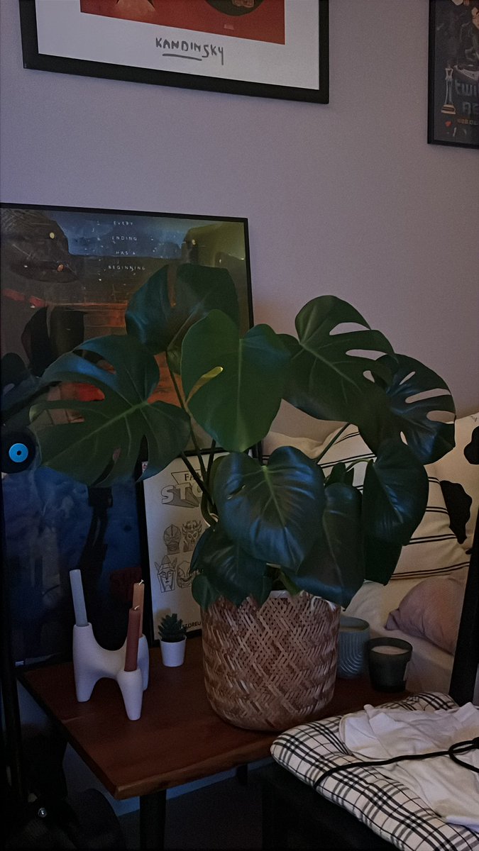 isiLost🍹🪴 tweet media