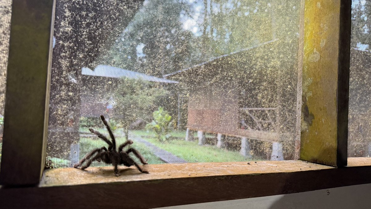 view from my window this morning