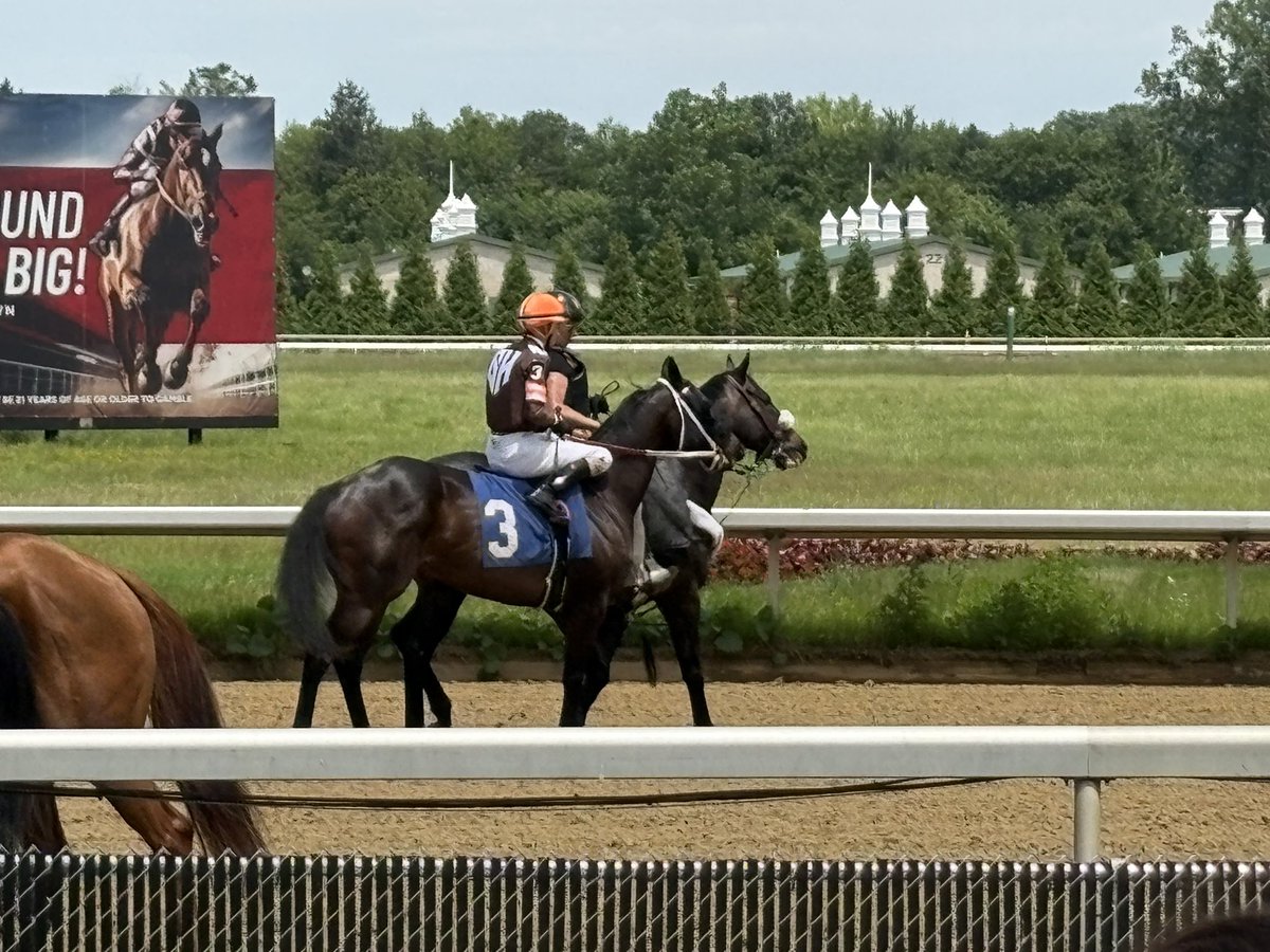 Scott Carlson (@scottcarlson19) on Twitter photo Cool silks for “It’s Browns Time” <a href="/JACKThistledown/">JACK Thistledown</a>
Hopefully the horse runs better than the team plays Cool silks for “It’s Browns Time” <a href="/JACKThistledown/">JACK Thistledown</a>
Hopefully the horse runs better than the team plays