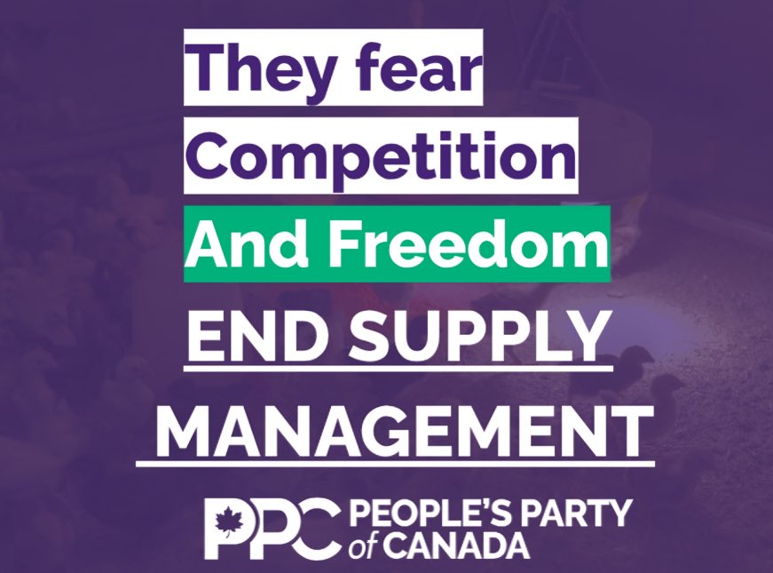 IsaiasPPC's tweet image. With a By-election approaching in Battle River Crowfoot, it is crucial that @PierrePoilievre revise the socialist egg mafia that muzzles the very people he is trying to represent.
But he wont.
Only the PPC stands with free trade values. Not Cartel Cronyism.