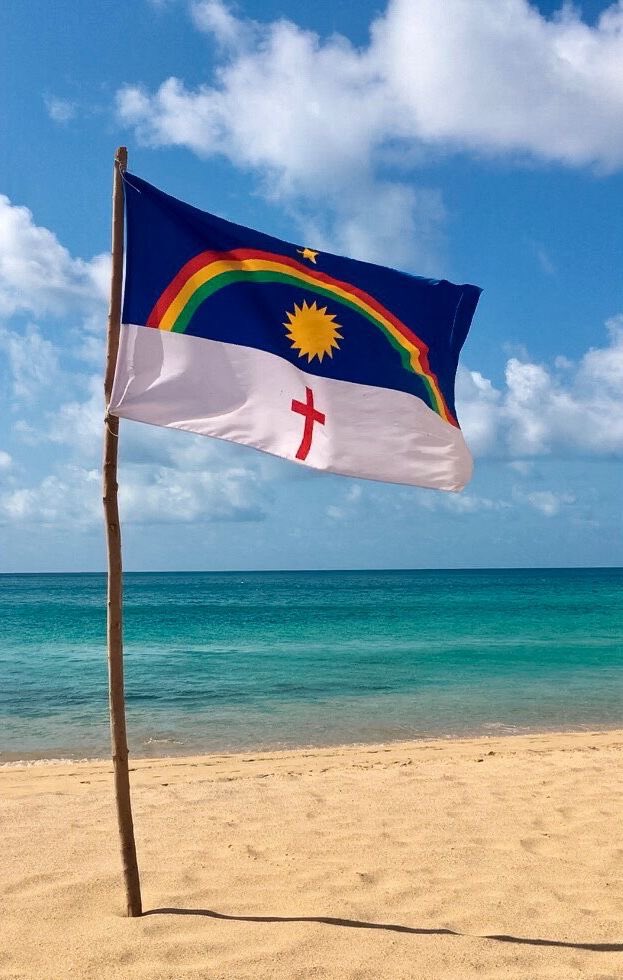 eu quando sou a bandeira mais bonita do brasil