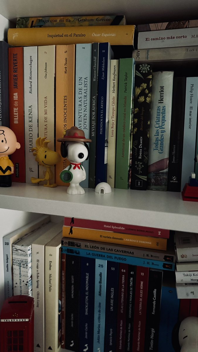 Siempre he pensado que una biblioteca tiene que ir acompañada de pequeños detalles, como este iglú construido por aquí para resguardarse del frío ártico que tiene tras él.