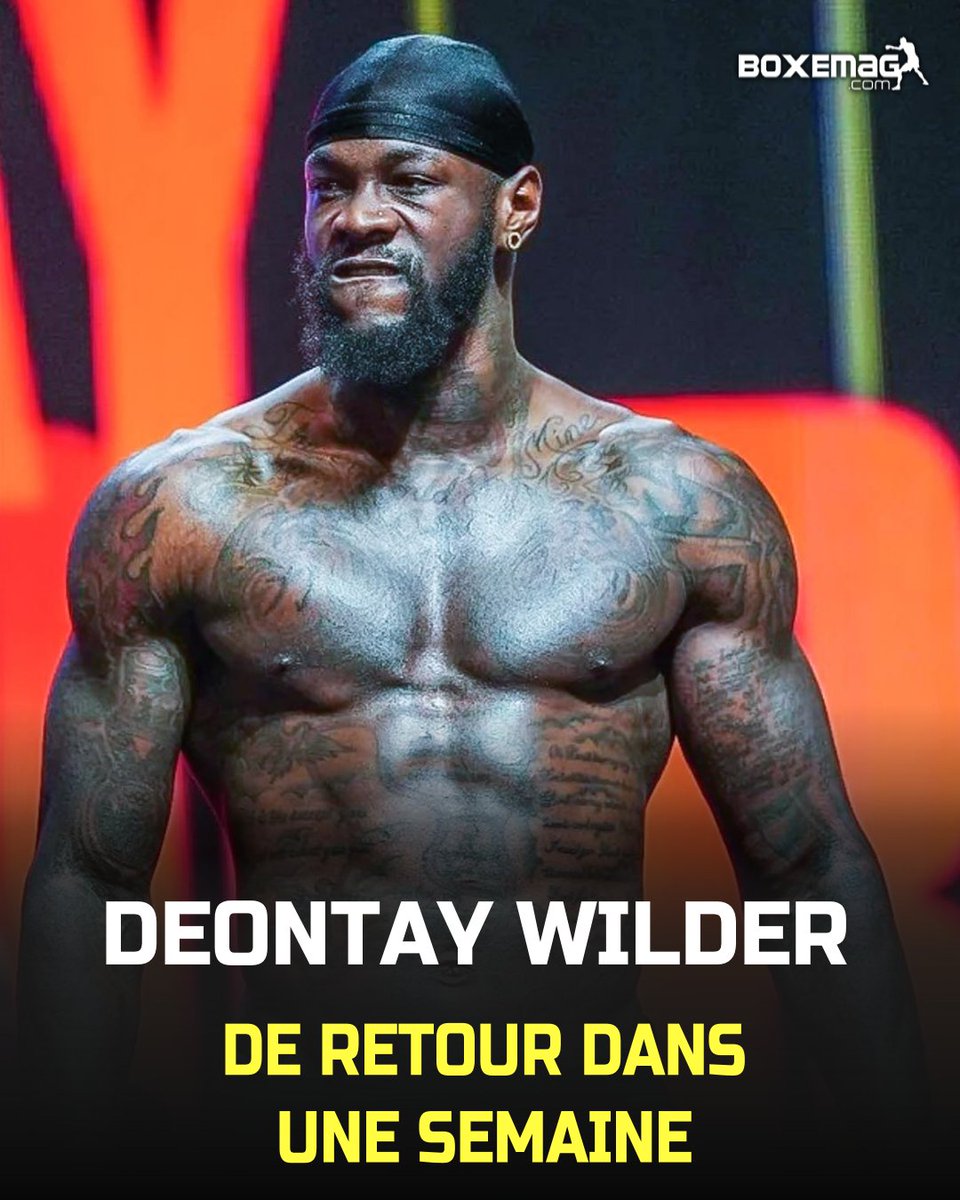Plus qu'une semaine à attendre 🕐 avant le retour sur le ring de Deontay Wilder (43-4-1) 🇺🇸 qui affrontera Tyrrell Herndon (24-5) 🇺🇸 pour tenter de renouer avec la victoire après ses 2 défaites contre Joseph Parker et Zhiley Zhang.

#deontaywilder #wilderherndon #boxer